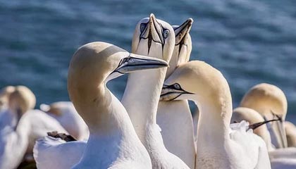 开云体育平台官网入口-全明星阵容争夺世界冠军头衔