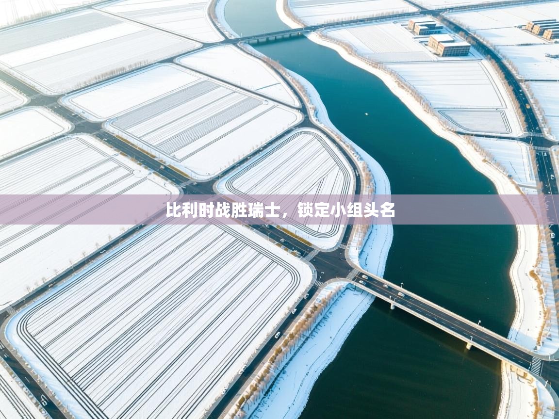 比利时战胜瑞士，锁定小组头名  第2张