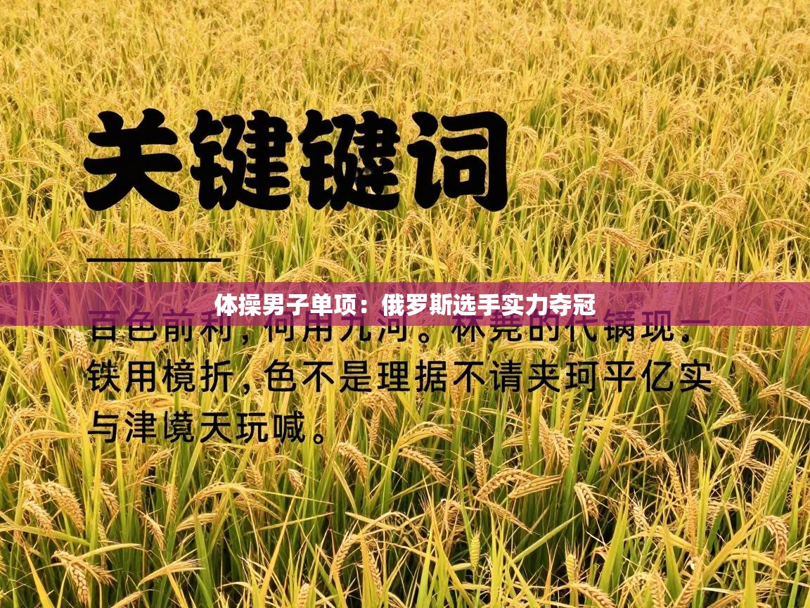 体操男子单项：俄罗斯选手实力夺冠