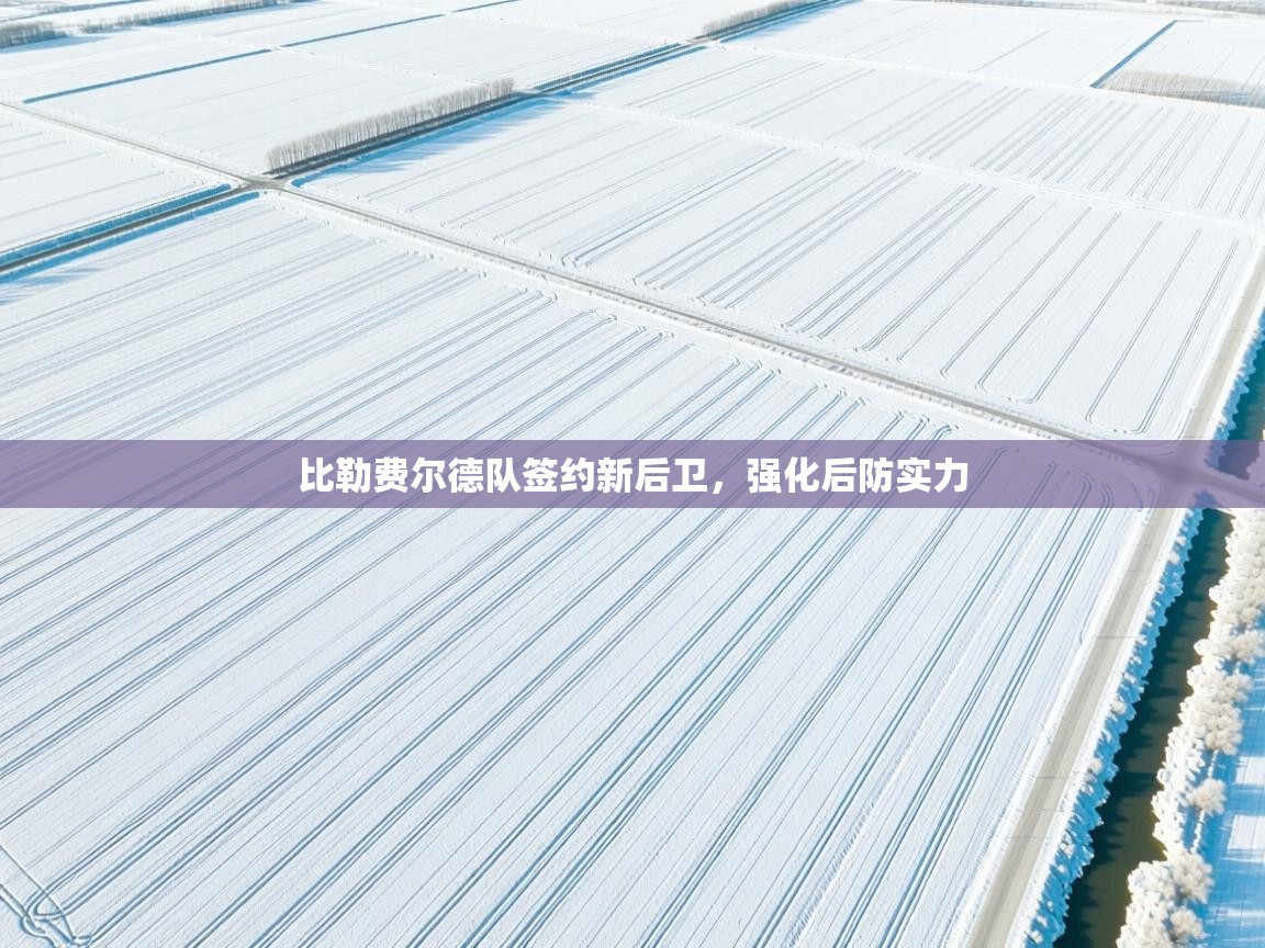 比勒费尔德队签约新后卫，强化后防实力