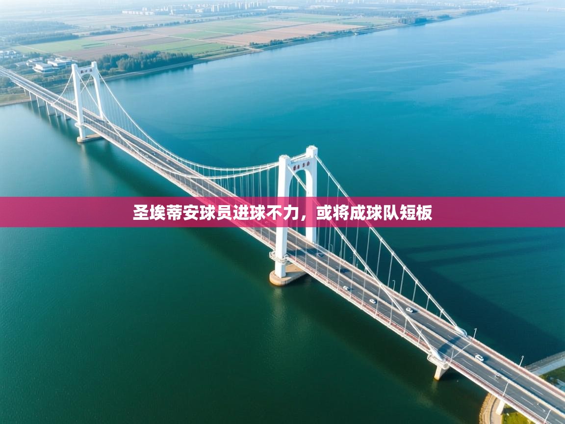 圣埃蒂安球员进球不力,或将成球队短板 第1张